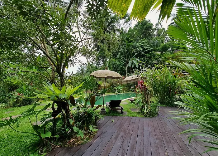 Mahadevi 3 With Jungle Views Near *