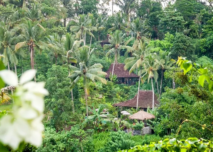 Mahadevi 3 With Jungle Views Near 別荘