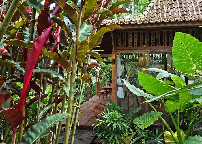 Mahadevi 3 With Jungle Views Near 別荘 *