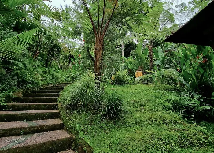 Mahadevi 3 With Jungle Views Near